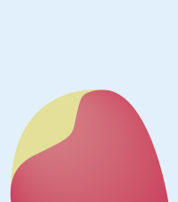 고난도 임플란트